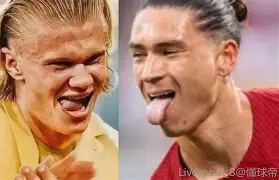  若昂菲利克斯女友 